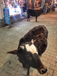 25.jpg?resize=225%2C300