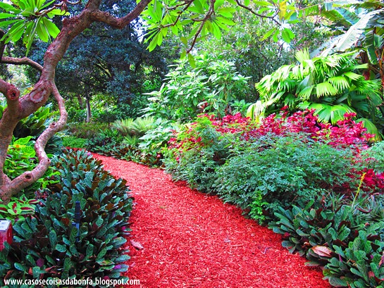 IMG_4183%25255B5%25255D.jpg?imgmax=800