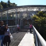 7-Curitiba-Parques-Opera-Tingui-Tangua-B
