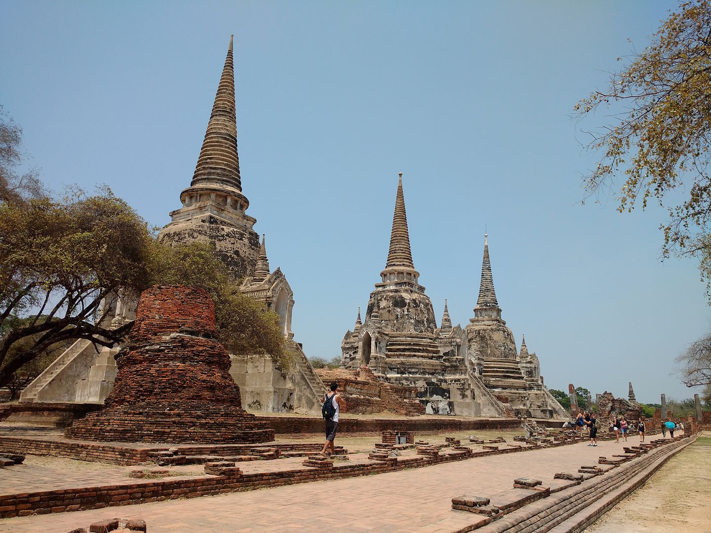 IMG_20160410_133122154?async&rand=0.8465238370103876