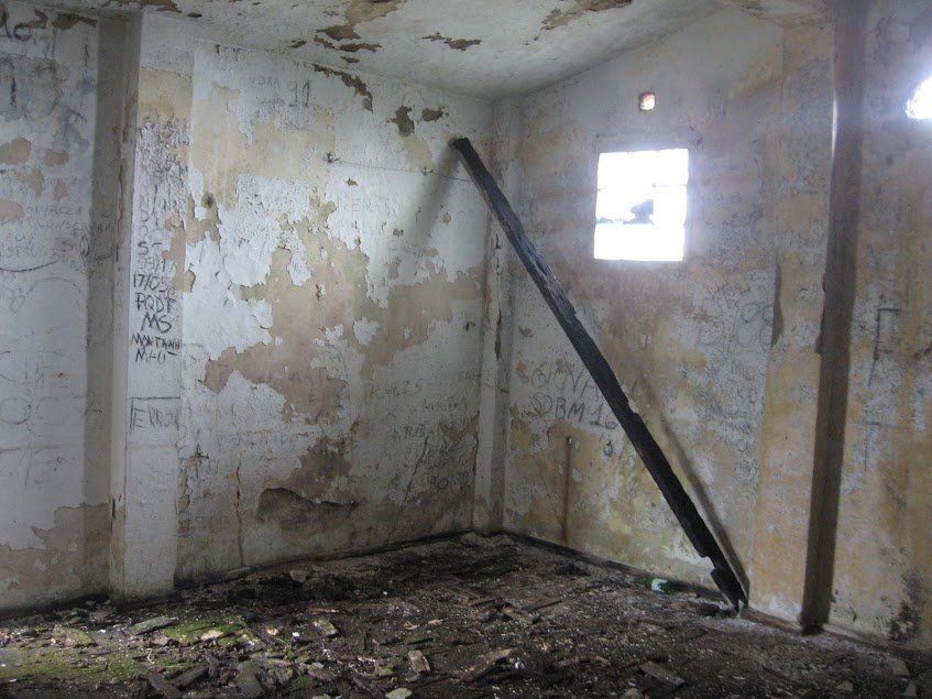 nWvAyzqpeI4aWfXrUhwDuselKZV30O3T9D6X1wUd