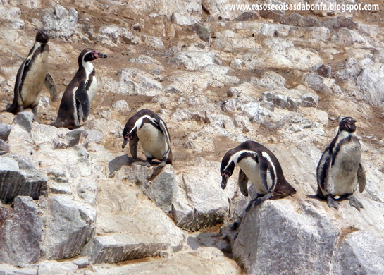 DSC07449%25255B2%25255D.png?imgmax=800