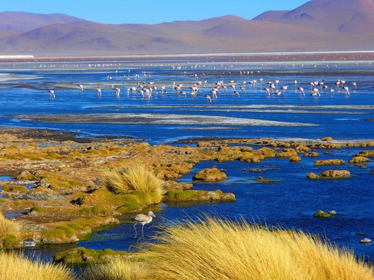 p4220119.jpg?resize=768%2C576