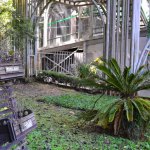 5-Curitiba-Parques-Opera-Tingui-Tangua-B