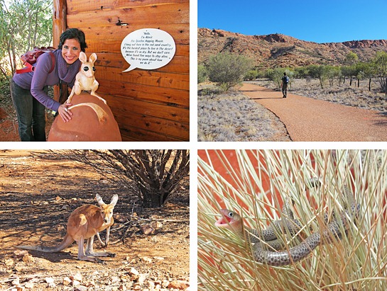 IMG_4998%25255B5%25255D.jpg?imgmax=800