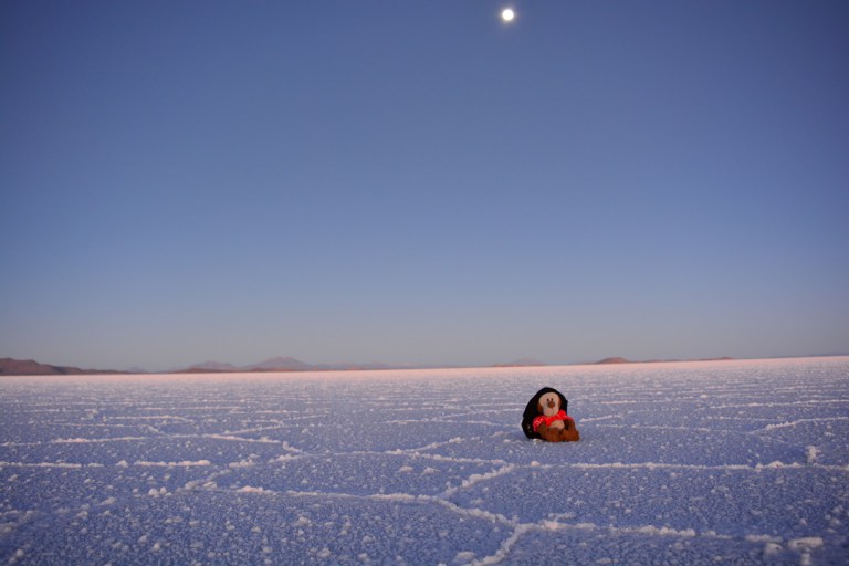 dsc_0401.jpg?resize=768%2C512