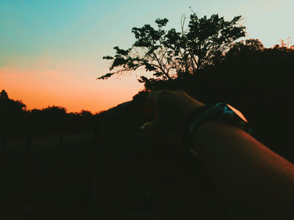 21558014_1427328290720371_59226989472027