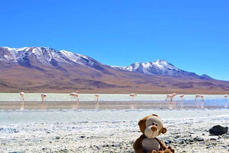 dsc_0263.jpg?resize=768%2C512