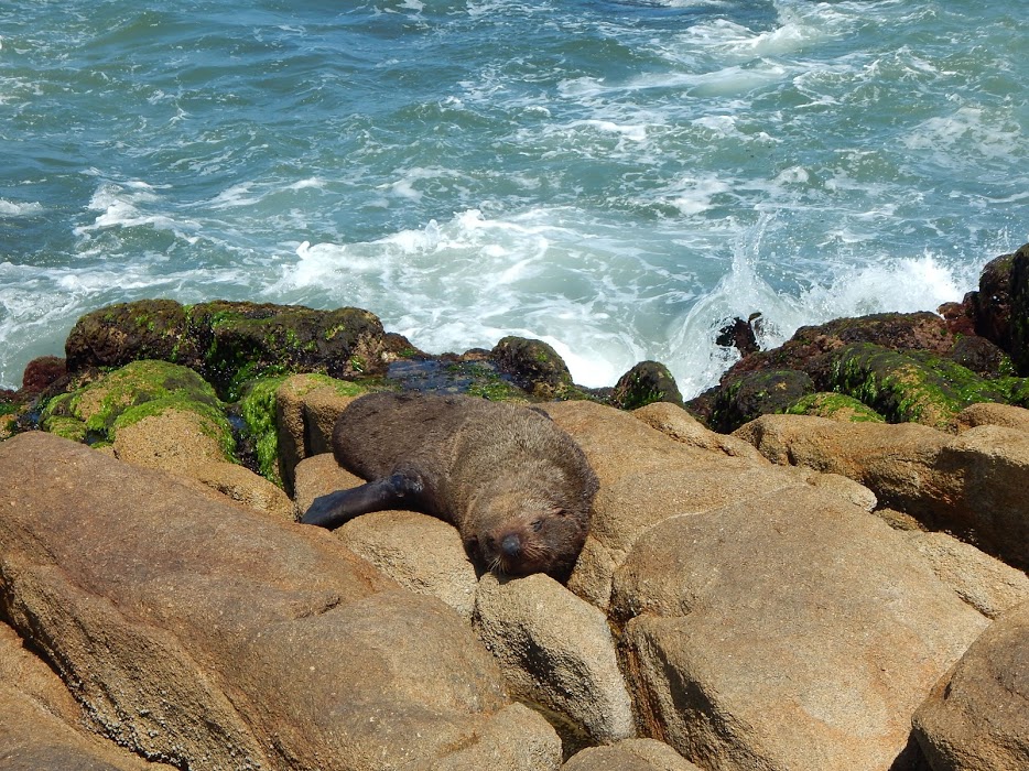 86oerbFPIblhckK0-NgZY3TBuiLtk8AVFU__3R9bwSVG1ah4wdJkIgx824W3O0fkn9TwfM0JVR5UVblP5futo2zAAV_41BcILYBKp10-_j2IuMOV4kRCFXxFpJzFwXptTxayQN9aWUj5KHyD0IQx68MTQv7BAjYjFYN7XOK1DFsqZSd4BtNG4sWi_5XMK8nrOZyA4-qhUbzBFv1QBUeZzqud2GtT3FIkfDJ1o4loVXiAj7OMxTTBuAnXe1iQXVjUbZZm3wXkgA9fZbr4PT_aN8CbGuRzqV5jF_guzPOiPE3PJrxrZGuAjs-7WO5ERZicHDSlbhey1VUbDGtawJutDeoxIdRknyAyOorc_kua_bRsoFRAlszgDLyg_pG2mt623HjL1yhhmL_LvSf7674Wi_Zcdt2GZIn2zTT5lHWvWD4m0qbey0QcAIyxdEFQhHF4S5ekm9VFk-uhFk_dgH7pb7frlk5RHeTJVCS3-fYavXK7mDUEak3ALBP01kJWl4glB0Y9Vv0EuceASAQ3Y27vMQW3XcHgYbyjdhx61Gohfknz-f86MyyaPkFQtOaz-Ia36PAnkOoCVfMKn75RaHTPCJVDTAwMcgVgAE-5SnG8v7aymmqDjyBk=w934-h700-no