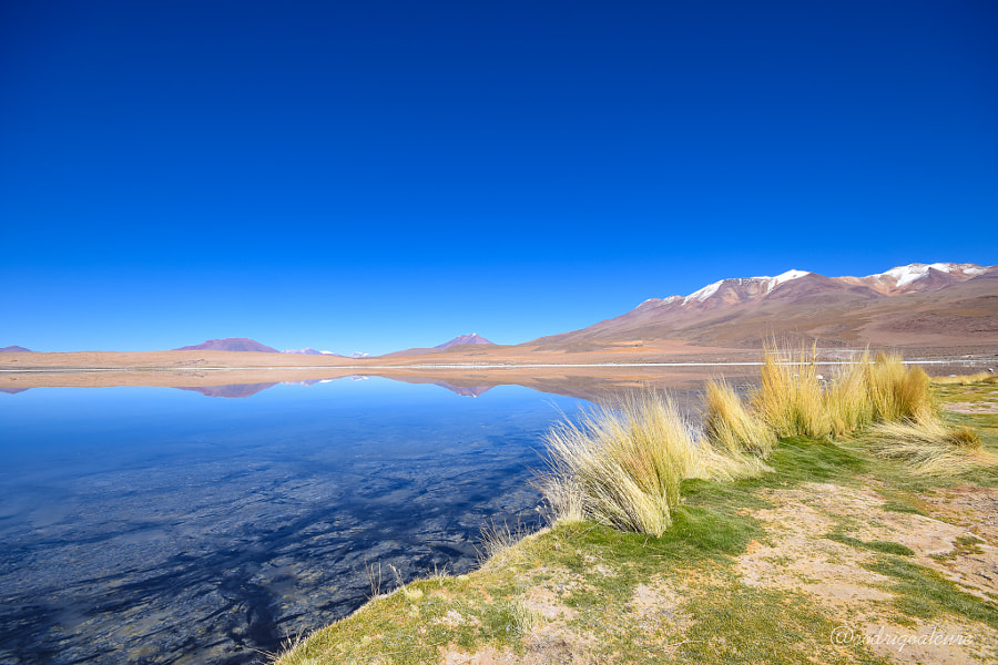 df8686adba49f57536b22e4024d3b50b