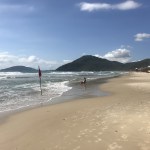 IMG_8387.jpg?resize=150%2C150