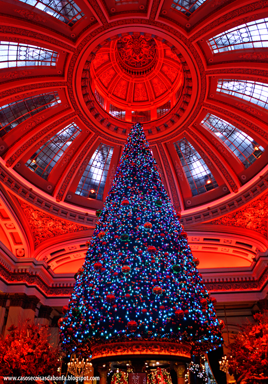 DSC_0286%25255B11%25255D.png?imgmax=800