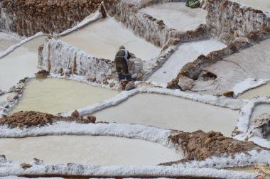 Trabalhador extraindo o sal das piscinas