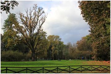 121012_2102_conhecendoa286.jpg?w=620