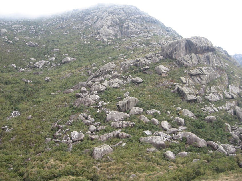 RfWmn2eptz0EPcsO9FfePgQ5lT4Dw95PVNbUDvZV