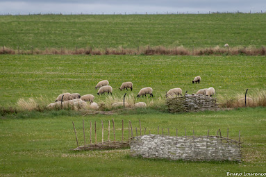 MCvo9AvaaRdPgvjuPnXhj1-Hqh5RASRXXbk5odA4Y0LlCzmM7DpMHA_h-sHJIGBWv6xHY0Jun0ZIEXi5KXZuEjmkL8vby_4Xb_BXdouftVp6_PGBdN6-PnEPEwlw5Obe8WLpoBbC1MgscNckT10lTS9gZPpeUi0DilNErnVbdMuWRCkPR8mWDtO0d7gmK2aiBMG_u8avo9I-wM0Hv-yjAixygjhkfIXoSAiLbttH04RB-sLYAccTVt2cQHt6xg_5tyWFxoELb3gK61Tu21siKfk_srm4_ld_d6p-Ckp3e4pZHSPFDFXPvT2HcCV5MPS3TF9BS7uNixlkrMOirO8Td-7fbLRFopKiuA1kdW2atZ3_cJQ2Gy-M_HtxzF9rynjTZcIQXO4wag42iYdGurxngqes1G7opXXdVZbherGsZi8b3TRqCLOeleawdBYKkqdz3GHXpqtzrU7qxIG1dWAmT5b3lSvBnqT1L03WqdX9PCZ3PzA5ZBsgxQ6hJt6zXH33mfv--C4lgA81r62dmCCUj6hOIsqMS0yScj4JJ9CvHFyWj5vgX2CKWe_XCNDJjAVd2Cxd01n_fB9N8PFHwe3saQPaEbpVGTBQ51HR2kyJwDBF_MfhXMrBBRAZ=w383-h255-no