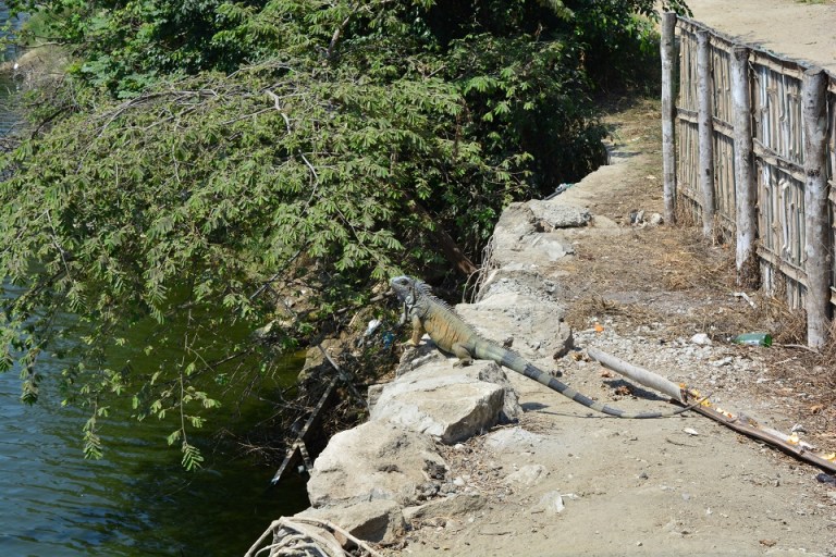 DSC_0051.jpg?resize=768%2C512