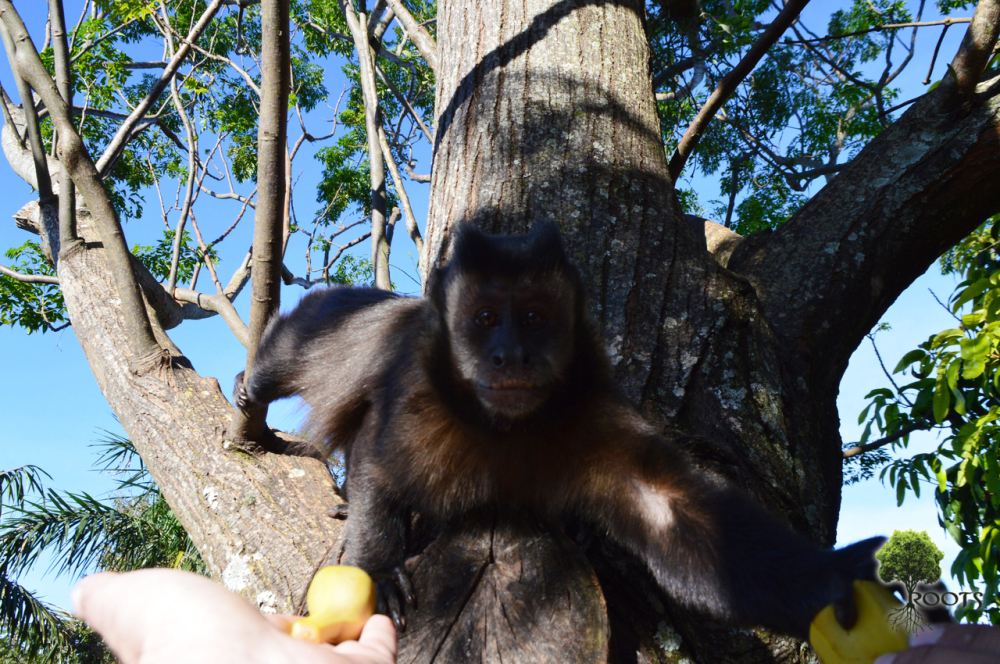 dsc_0232.jpg?w=1000&h=&crop=1