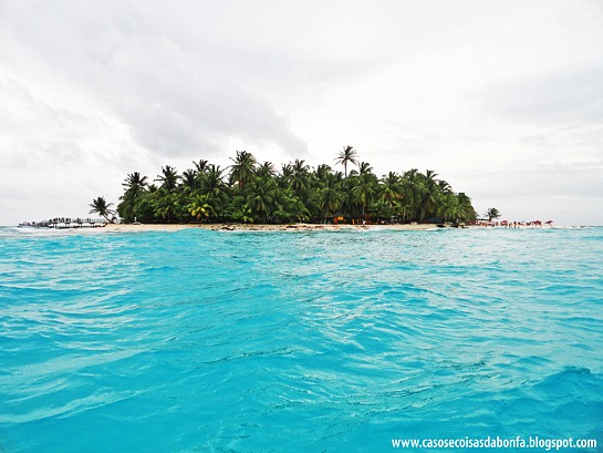 DSC09021%25255B1%25255D.jpg?imgmax=800