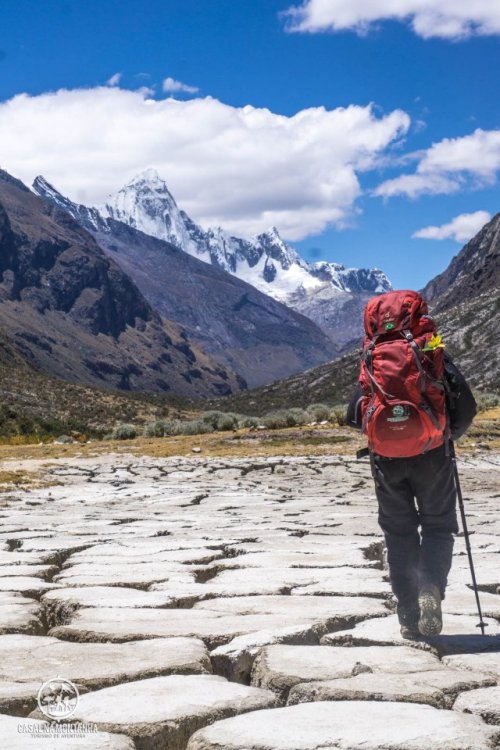 DSC03203.jpg?resize=640%2C960