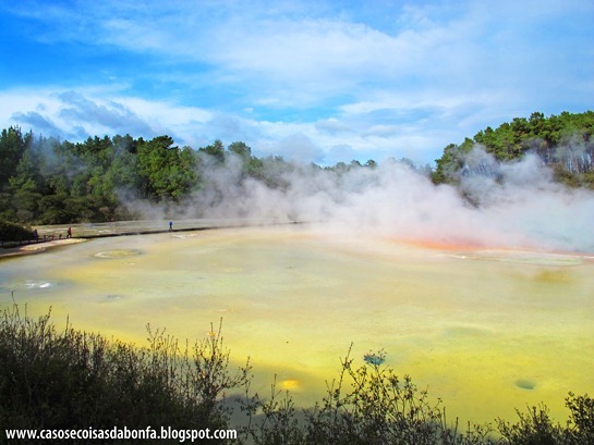 IMG_6983%25255B3%25255D.jpg?imgmax=800