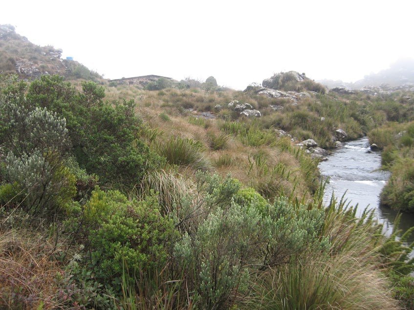 MJjnM7CQizbHfEXAcXzbjS9tkpfP-wchcsF_b1d-