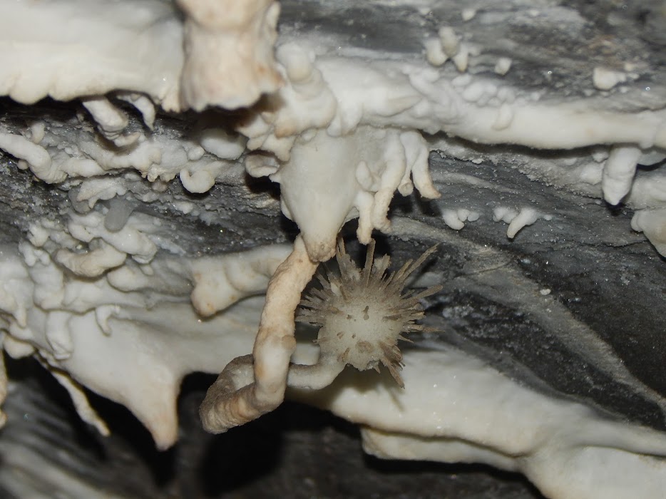 5IGHMaMq4lYh7gUuritN_bErda2Zu3dfrCQBlB76