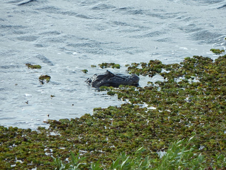 Rl7Td6R1mPzmPqimxlkR_O6YydZGSnzO9VpwKlYM-XUx0nkrX6QBCT8vOk4MRqCPSZM2b14BZNUILU6LkCOXw38iBuV6c6TCPNpTpeDDjnk-j0uja30_u9iAkTtAuejRYplw4WnAUaab6FJJ4EWM6tZnTBImXjWgBN4_BD14Vr1-TfPISwfVxdqiXhMtKt0nbEHtXU2G8Qk5u7hgu1ie_q4OhwrEOk8isjK4bC7yfWfwE31P4nRnqGp5ksZwk-Nfh5kkvNWqNtH93P6n6NJJb4WI58E4_lmd96h-L874gHB9C6VumObPNJQY45NuvwLwqXKuIMtS1UbTSGh7BZU004mMtGTKGxZIhVzRSUDR6Pkt771WxpnvD0qFl2o-9R2JyLtSEuXDyU7xYZzZnlU8tuc8Vztl7aTwcCP8enyARRHdBwzkhpNZALnqDOx8J642dq8TaHYMjGVoKbTE2MBqvLiROHAWeh4oAruWZwRj0mKX31ALztfQI5R8WOx5IA5axBT3PJNBhVWIoVmxSFa8FCHIdor97lYBJvcRcSkD8FSpU97y5osNu99_o7qnoV4XqlT1zcGGhDhOtoK9h8_D97LEnV2LG0Y22-ZM-lnlvNhqcMhuJKGJ=w883-h662-no