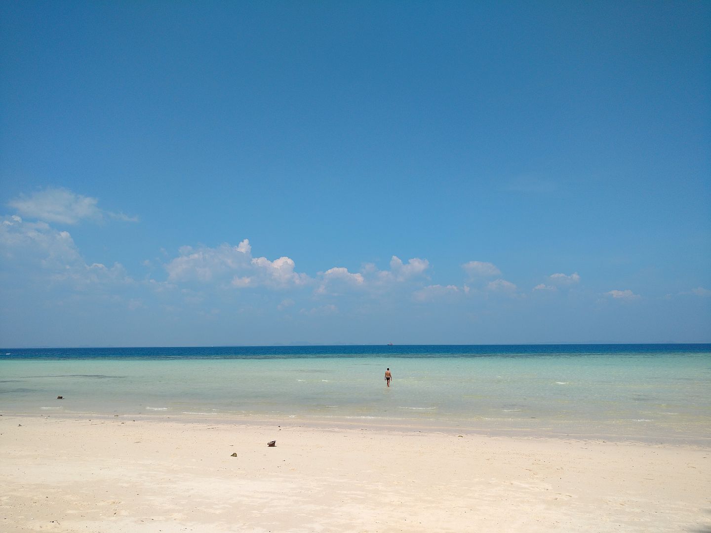 IMG_20160419_142133417?async&rand=0.2865917178145303