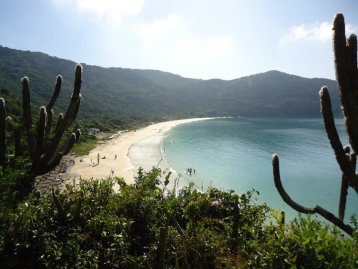 261285_232743050085743_6275885_n