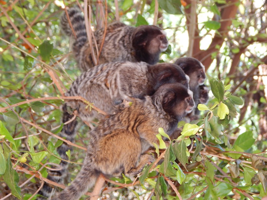 oH_aHKbbGpEmwhHXs4atIHKKGufquQ-5JaenwWc3