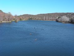 dscn0991.jpg?w=238&h=178