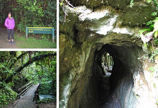 IMG_6780%25255B5%25255D.jpg?imgmax=800