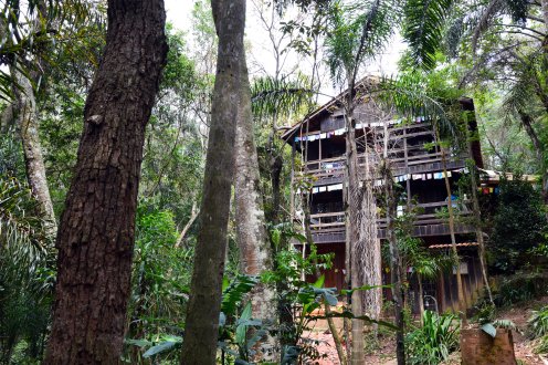 DSC_0182.jpg?w=496&h=330