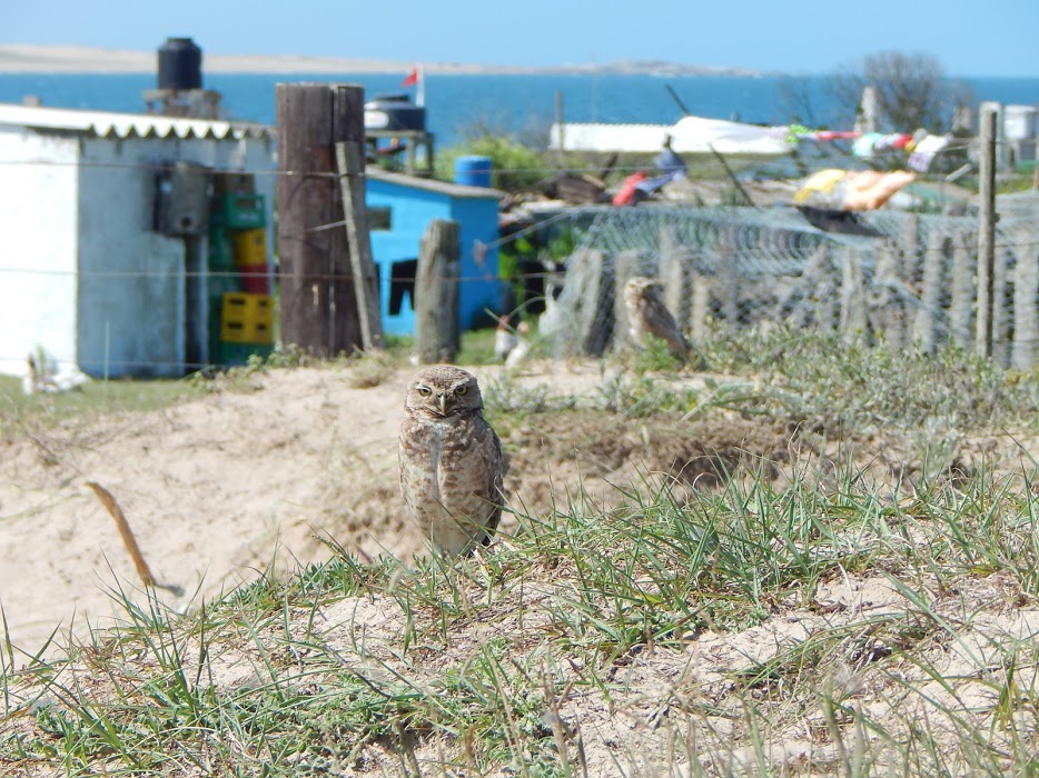 UOkcAkN1YicEYoao7_kgqIynH2C7br6bwCETT6iyMej-21iAXotvrT_nvsPzRHRFcPj0EzQ2O1EVXHIarfarV0o0_Qfa7kdsVBIGrDathl15ORNF_4fJanqE94ChwfhLmpx3FfD1HzrtAkpCuIreiEhQDsPJE309peyqf8D1XrpYZrSAu0Y251Pdveq5clwueBVeoVSy4AiXiLkO1r4hUtXaALMxTExKcr5gG60O7ISS5slfYZ_h982WqD1-SIWS_uRhlyiNzwpg11lOroVo5i0E75sAv7ysbeRssyYjohiaEQNu_yE4m5C7Su_lRxnDebMDvGwbLiZojP05B7CHSxM7Hj3CzmFJ6HhnIue9EUbWiRhU-_XuBFw2T05o5q96l_BjaXZQF-75I2phb417Zuktzl7vHtCehoecYUYZ2KGCseADWCExl-49qxoutwYVKTBm8McSbwd_6f6-5a9CvpYL4KALbqJhMt9XJ4owxb2HKF2N6IBGufGiGioPjy1VX_7Z3ukfjwNhMnnKKvUlFuXLkICBf3G1-E76hwVsu3eGKXXa20crXxMPMg4Z1tfPTp-xfXiZ_1RfX1i5McbcUOwef0z9889m4ClTkDfauzI1M52NFWeR=w934-h700-no