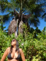 Fervedouro do Alecrim