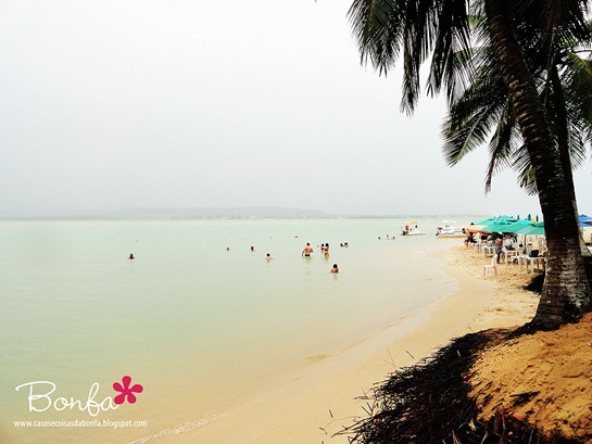 DSC04320%25255B3%25255D.jpg?imgmax=800