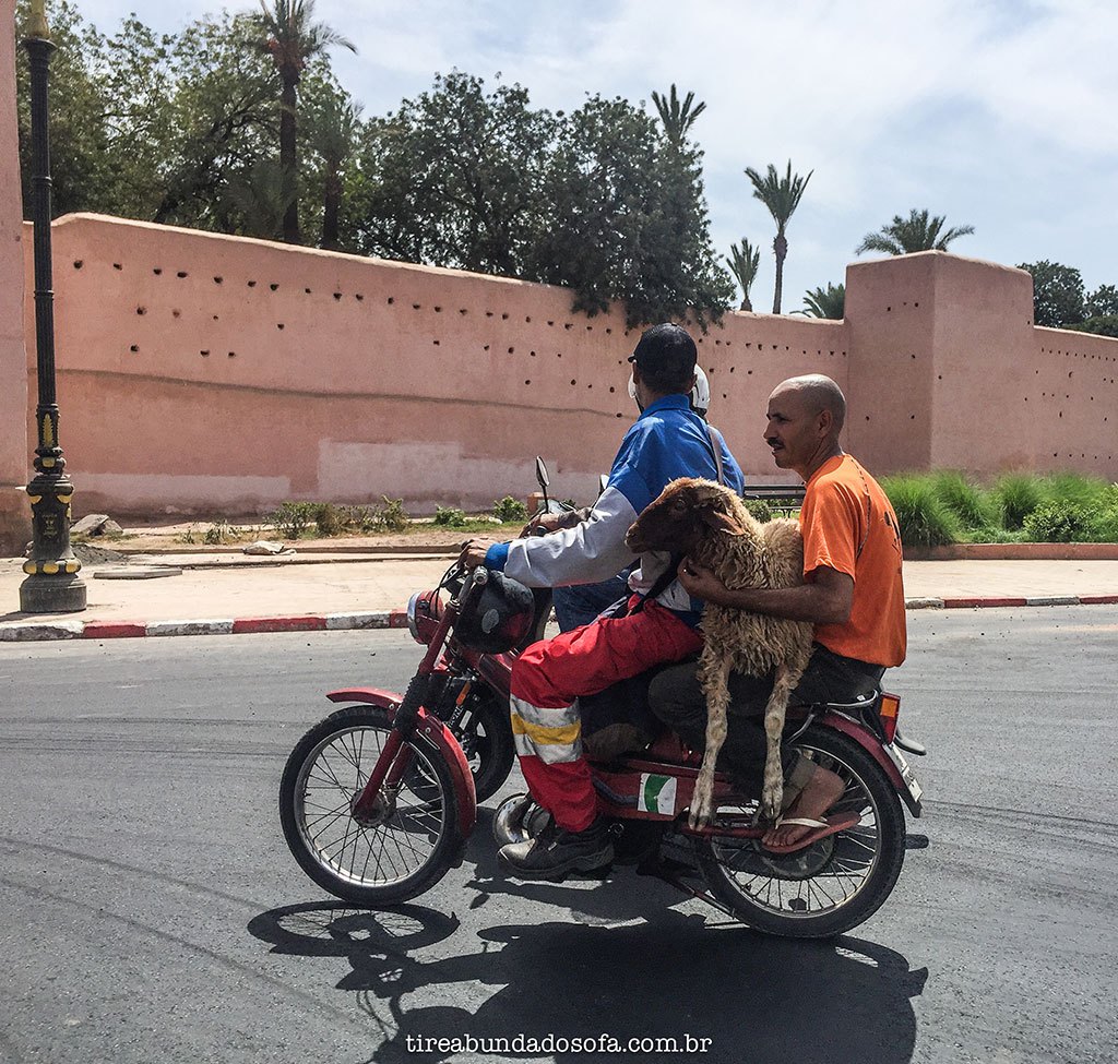 transito-em-marrakech.jpg?w=1024