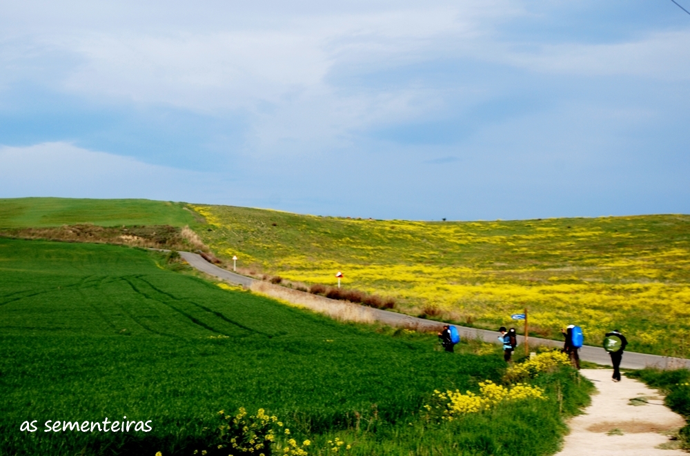 caminho-de-santiago-1.jpg