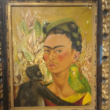 img_20160203_145118252