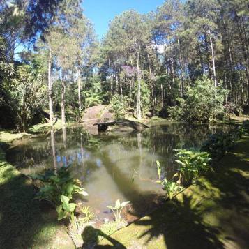 12494936_1379213452105358_6898869831319761411_n