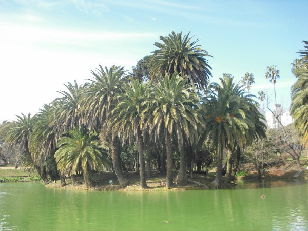 CIMG0146.jpg?resize=600%2C450