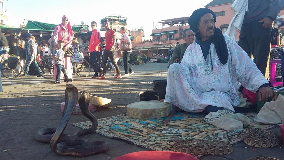 A imagem pode conter: 2 pessoas, pessoas sentadas, sapatos e atividades ao ar livre