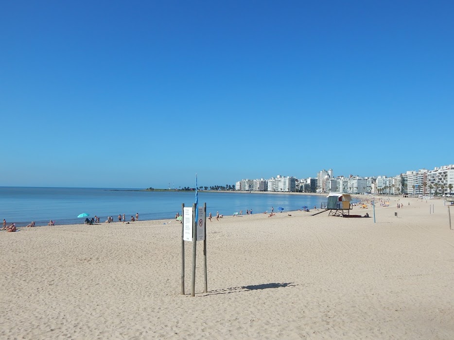 bddAsf77qcGaZ3wiv0ABSXNXcdYka-c0bEiXzZRebQbwMw-SxJ0bj2FMeaBbKw1ZziO2Ecv5vVMpDsz1euJpaE8GHvTWIQWc_4x_YEn32Hj8uEPIp8yU4Py8_y_J9ZjcQuO1L2jvMlQwJ77rGPQOm8_PIQf5FRLD5TCDLyYIZryEjSasckBz-conG6v51A5P8m1YmVlNImUx5xQv8e_VT_3FIs12LZaVdOR8_18WnupBgTJfz3AM6p1m3StwnsgCmqngxKI7HzG9N9XtByd4Qca7NXR6g4hIC7uUIqyVlV0Z6Jw2t22SMkuvH-x3yKGnPP7dsu4mttA0K-RogYU_qbcWaBNPurjqsWImz0HoqKo2Ui9Y1BHXI8ZLBCNwkfPr0S87amLGISmAAAOFQouTqgtPwJMCCZDJ7W_BRNrWX5wYD-Zm9NeFKaf6Y0a6rQib3JlrQ7u7a8HLI_WcPuZ5hGw2332xNmWwv3-k4X_oTpbSe2y3Vg9Q4Mu9gZzCAYwfi5hfoJtv23DlycrJI5ryHfyU5UtaF_mZVfJ0gxZX7M0m4Cyr8KSuuiDdpbClVQBZev29pZUa85t9hnjijqEfg-pv2tzM61sxj6NsJeOmIMZgPtS8G2pw=w934-h700-no