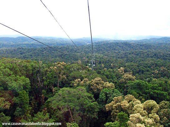 IMG_6193%25255B3%25255D.jpg?imgmax=800