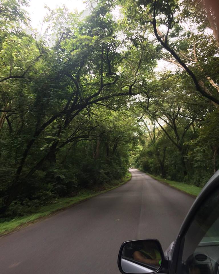 19990519_1399261823500239_3126881469182620034_n.jpg?oh=72707a09c03cb186fd8aa644a04e67fd&oe=59FD5196