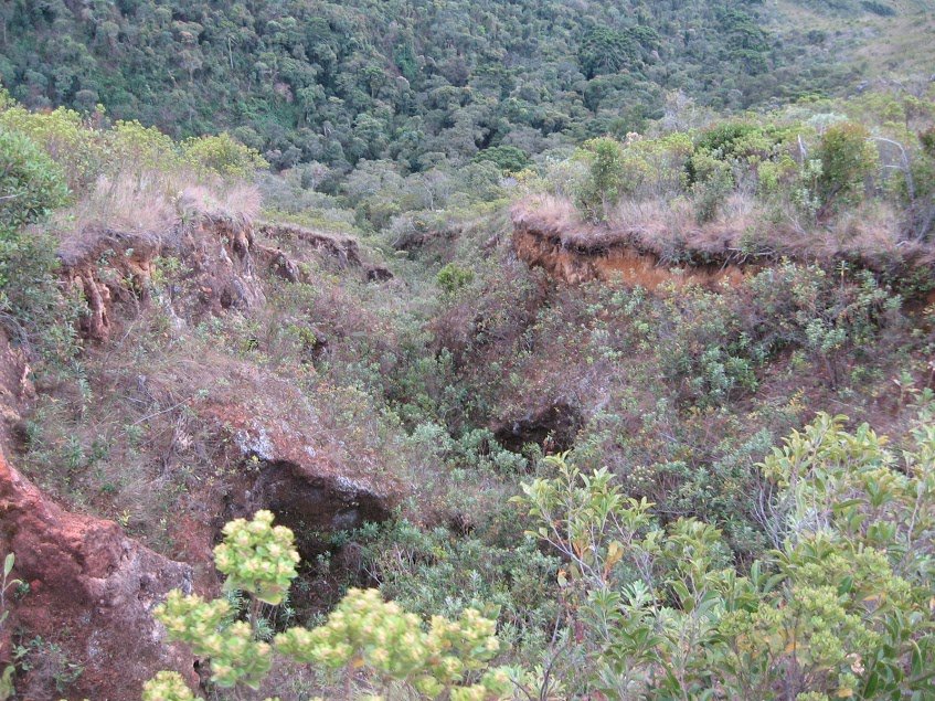 abQ7qTb9KLSRBFkA_R6QLd_mMOZMXr1T0BnXEQtn