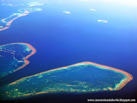 IMG_6331%25255B3%25255D.jpg?imgmax=800