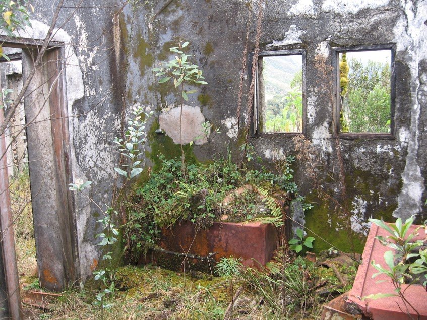 DRgERNjzU8w1vRP1TSfkZkmppsM5zDbWwsQcPKtS