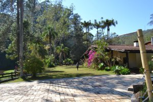 atibaia-pedra-grande-morangos-107.jpg?fi